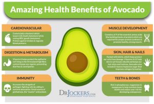 Health benefits of avocados