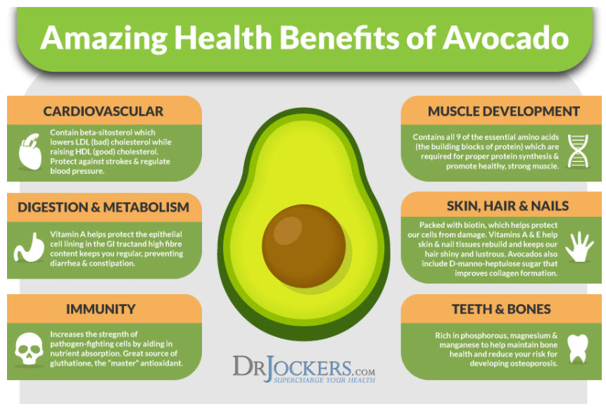 Health benefits of avocados 